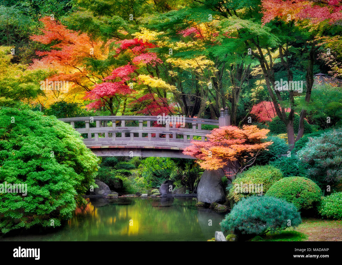 Portland giardini Giapponesi con il ponte e i colori dell'autunno. Oregon Foto Stock