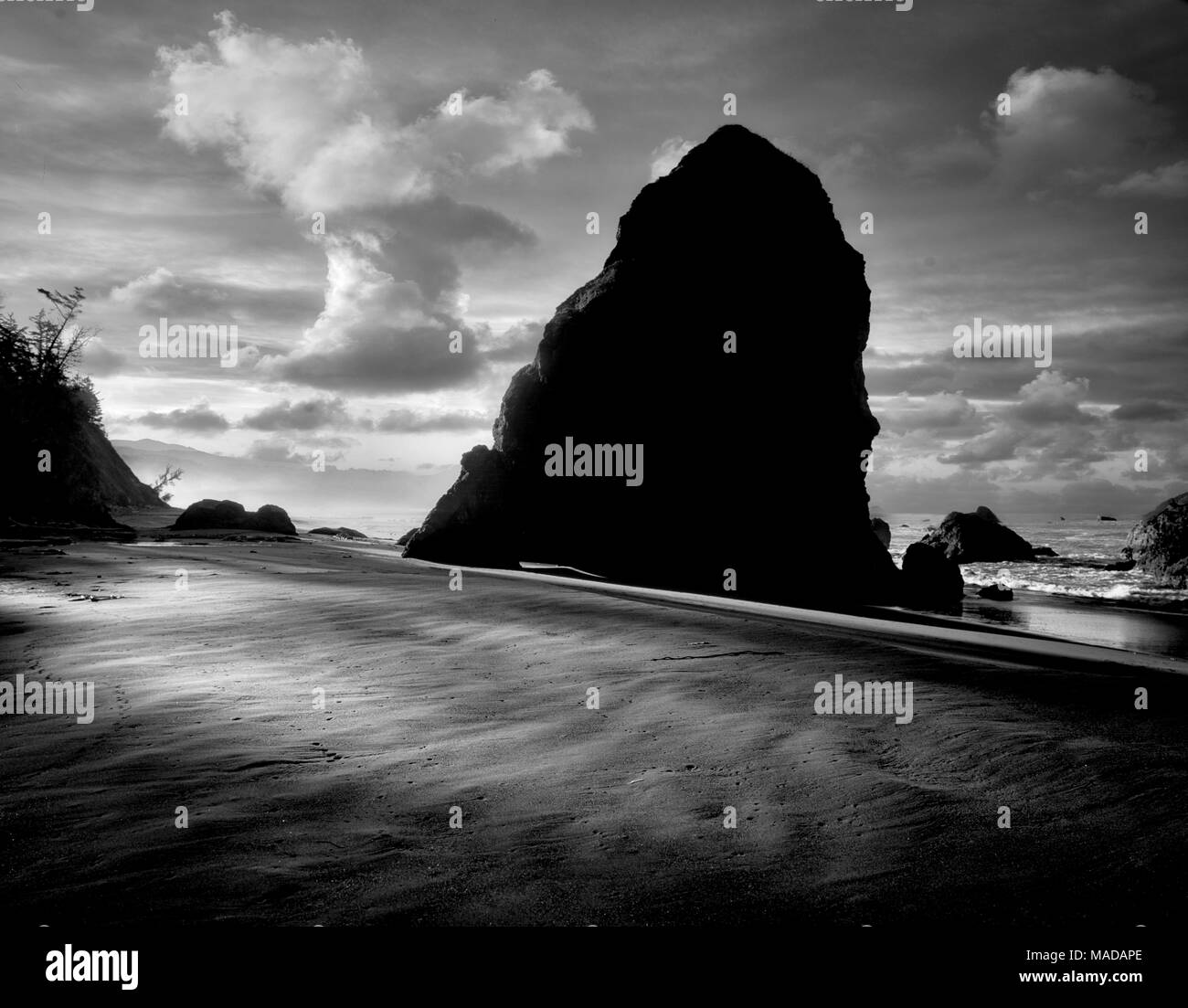 Nebbia di mattina presso la spiaggia di Porto Orgord, Oregon Foto Stock