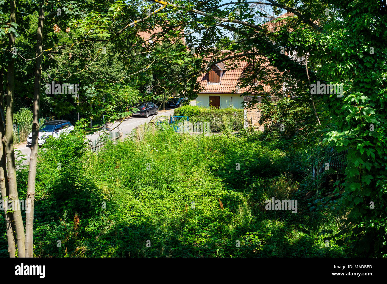 Piccola casa indipendente, giardino suburbano verde selvaggio, Strasburgo, Alsazia, Francia, Europa, Foto Stock