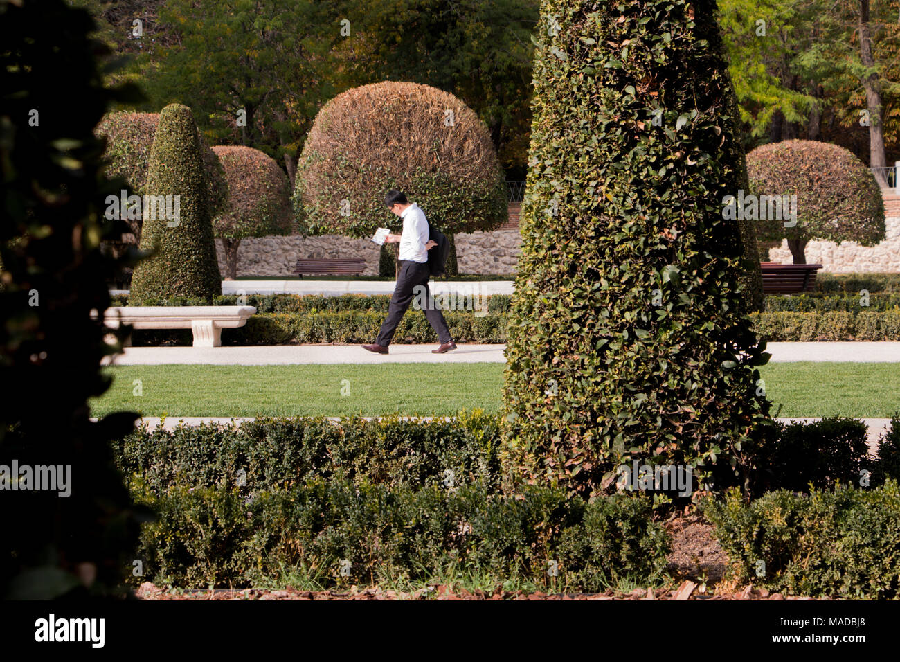 L'uomo la lettura mentre si camminava nel Parque de El Retiro, Madrid, Spagna Foto Stock
