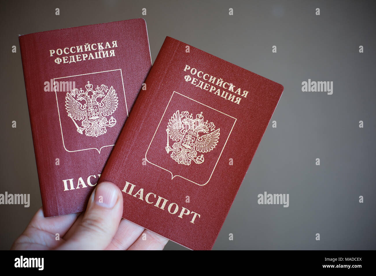Due passaporti russi in mano. Ufficiale russo documento su sfondo nero Foto  stock - Alamy