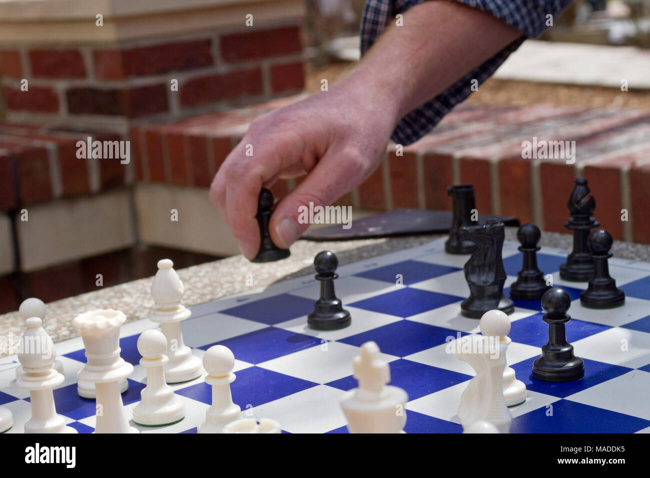 Close up di un uomo bianco la mano di movimentazione di un pedone nero pezzo degli scacchi su un blu e bianco a scacchi della scheda di gioco al di fuori in un parco Foto Stock