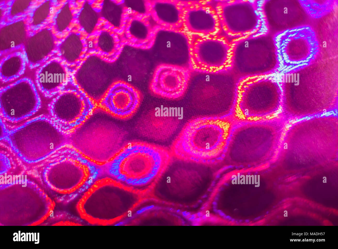 Close-up vivid colorata viola modello olografico multicolore di anelli iridescente simile a nido d'ape. Foto Stock