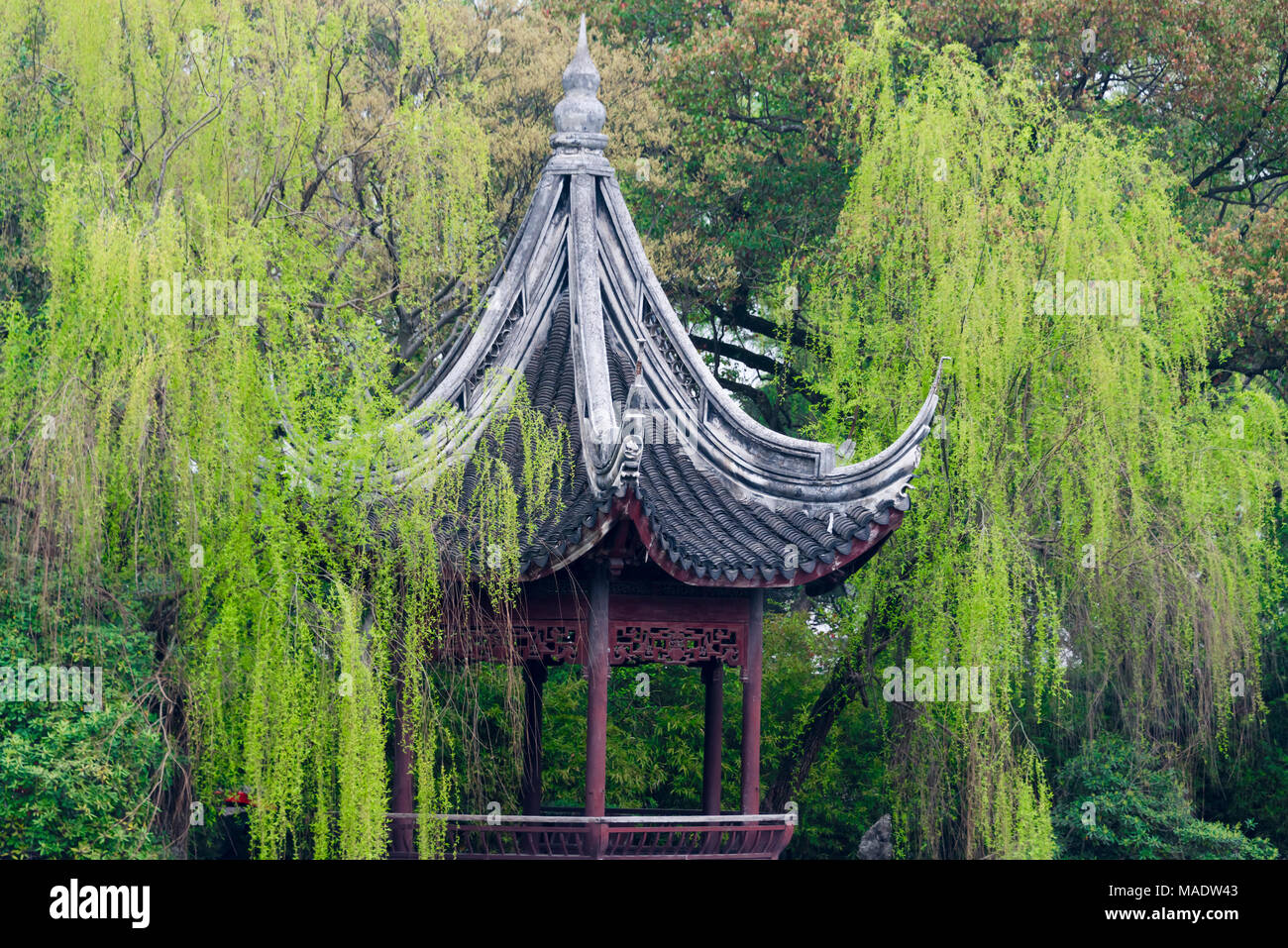 Padiglione con gli alberi di salice in Xiaolianzhuang Resort, Nanxun antica Città, Provincia dello Zhejiang, Cina Foto Stock