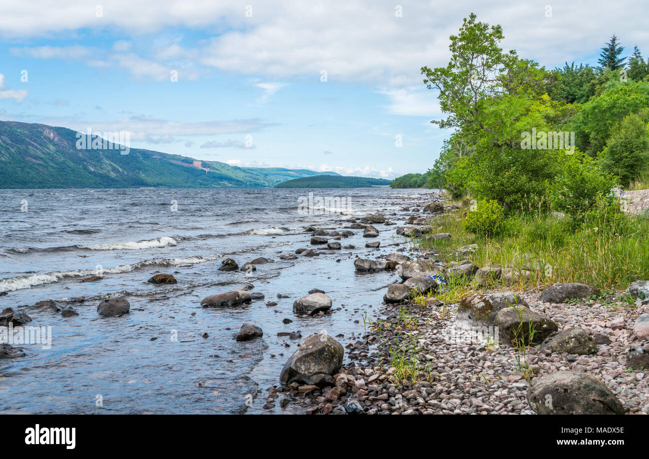 Sulla riva del lago di Loch Ness, nelle Highlands scozzesi, a sud-ovest di Inverness. Foto Stock