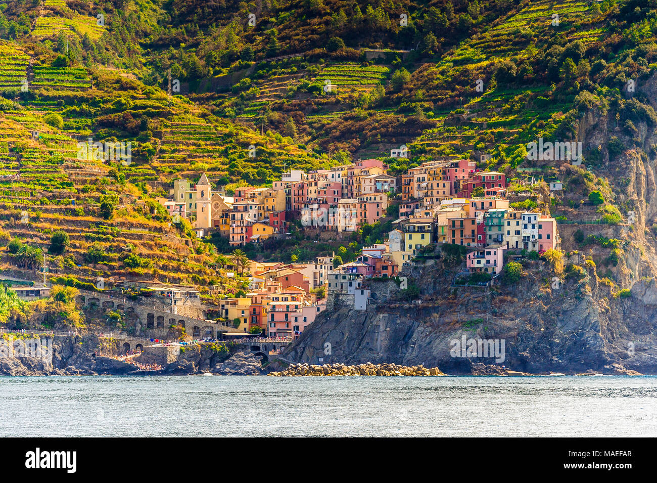 Manarola è un comune italiano di 185 abitanti della provincia di la Spezia,  in Liguria. Cinque Terre Foto stock - Alamy