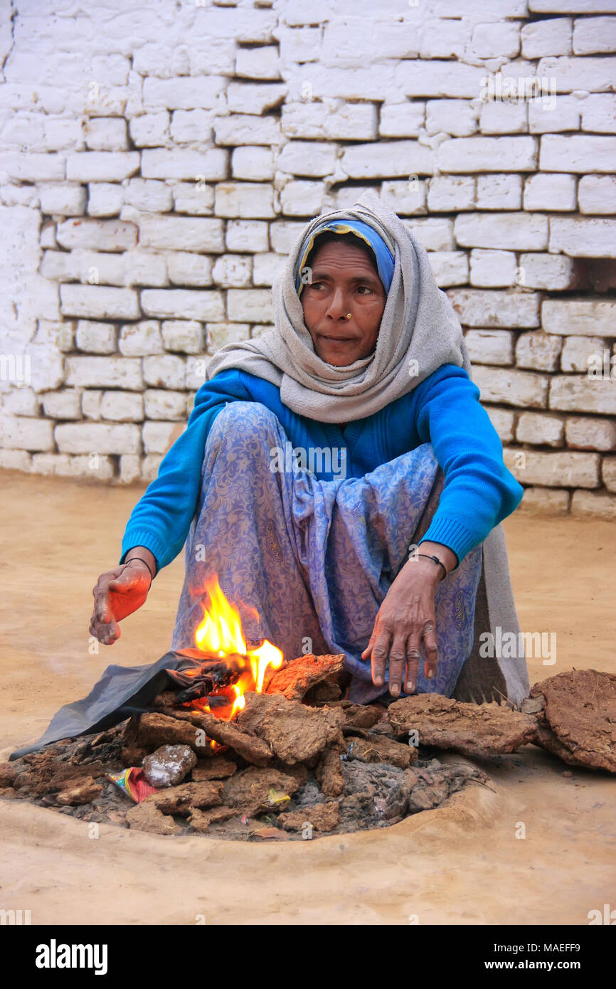 Donna locale messa a fuoco usando dry sterco di vacca in Taj Ganj quartiere di Agra, Uttar Pradesh, India. Un inconveniente dell'utilizzo di questo tipo di carburante è increa Foto Stock