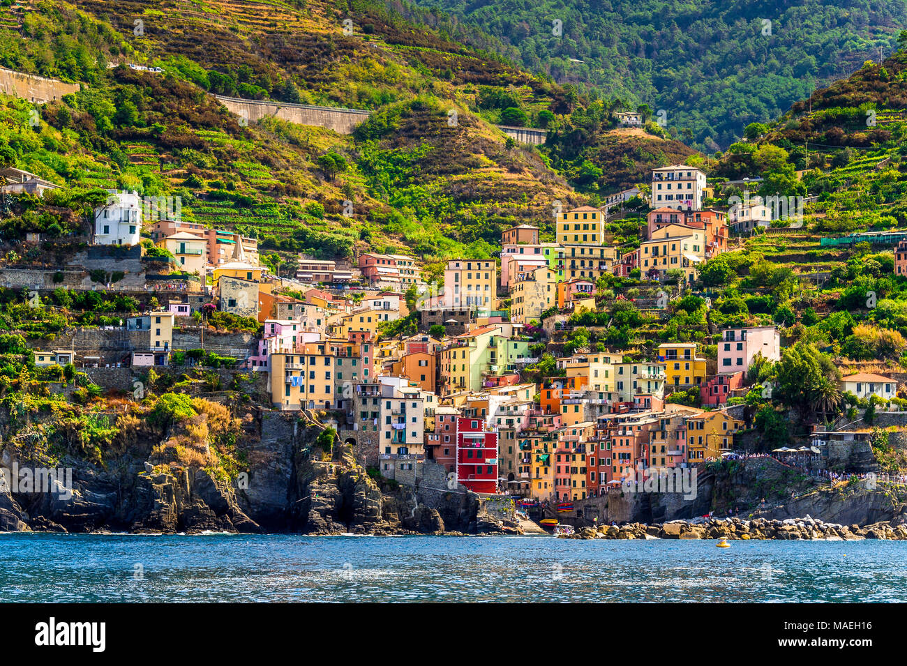 Riomaggiore Parco Nazionale delle Cinque Terre, Liguria, UNESCO Foto Stock