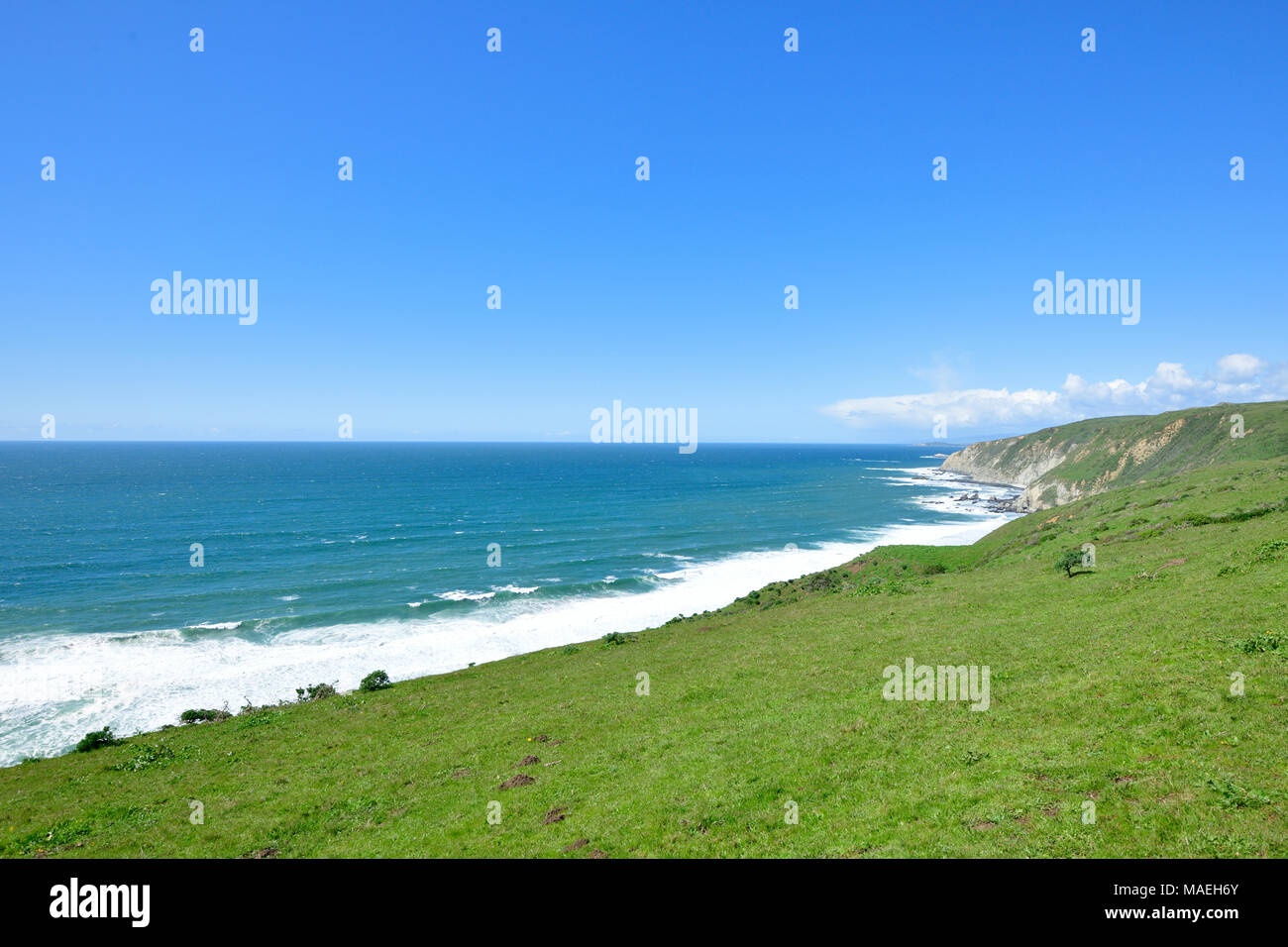 Costa del Pacifico e punto Tomale Trail Foto Stock