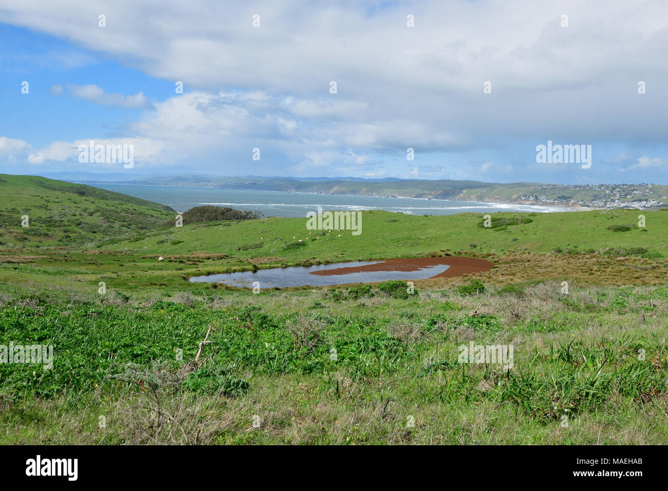 Splendido punto Tomale Trail Foto Stock