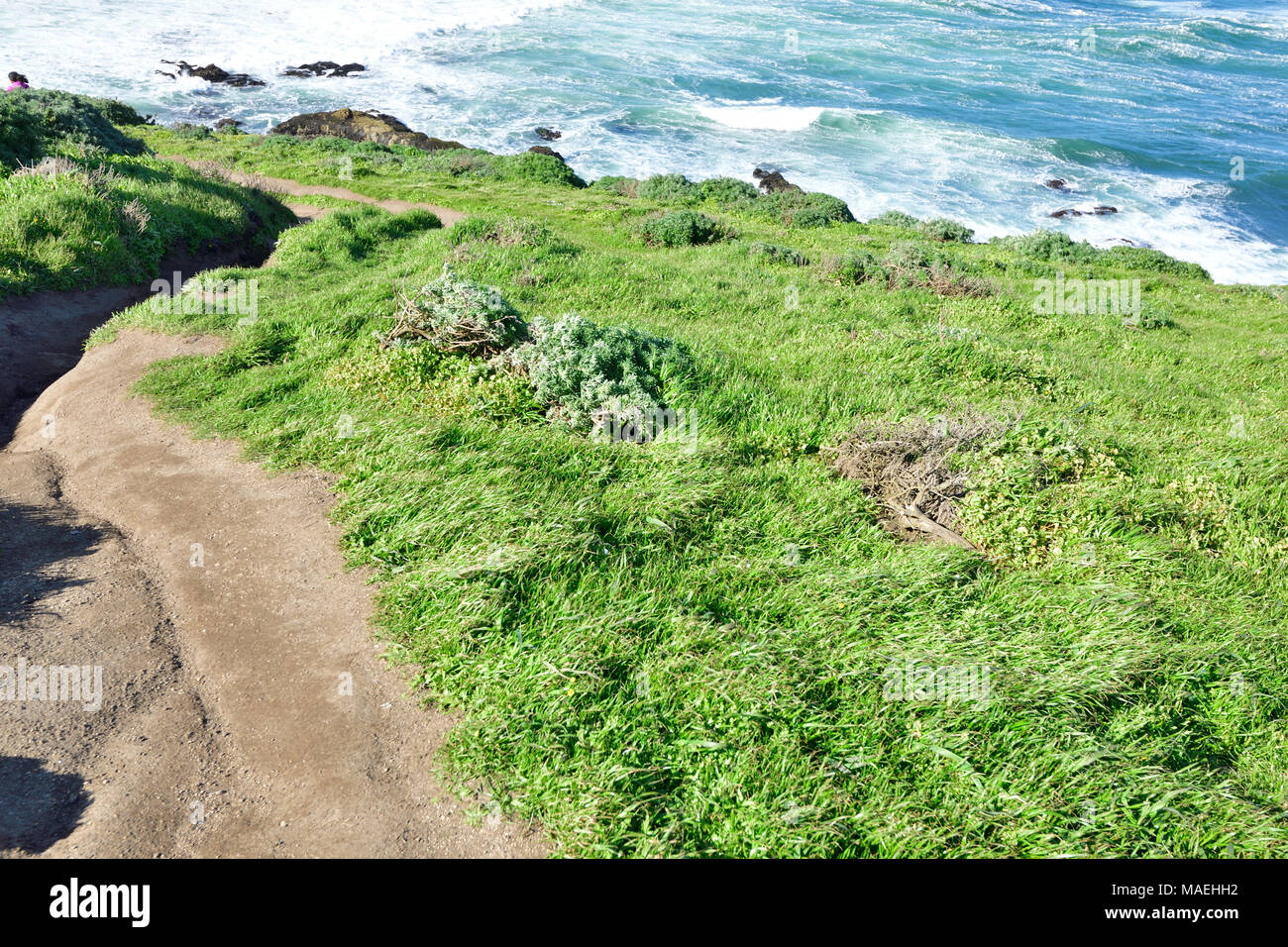 Costa del Pacifico e punto Tomale Trail Foto Stock