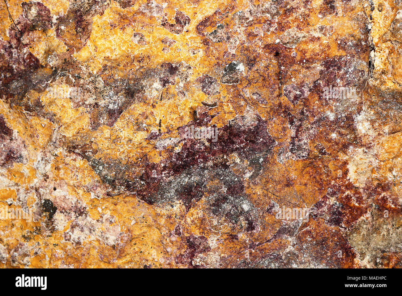 Texture colorate della vecchia cantina muro di pietra; questo schema è reso bt collonies di funghi, batteri e muffa Foto Stock