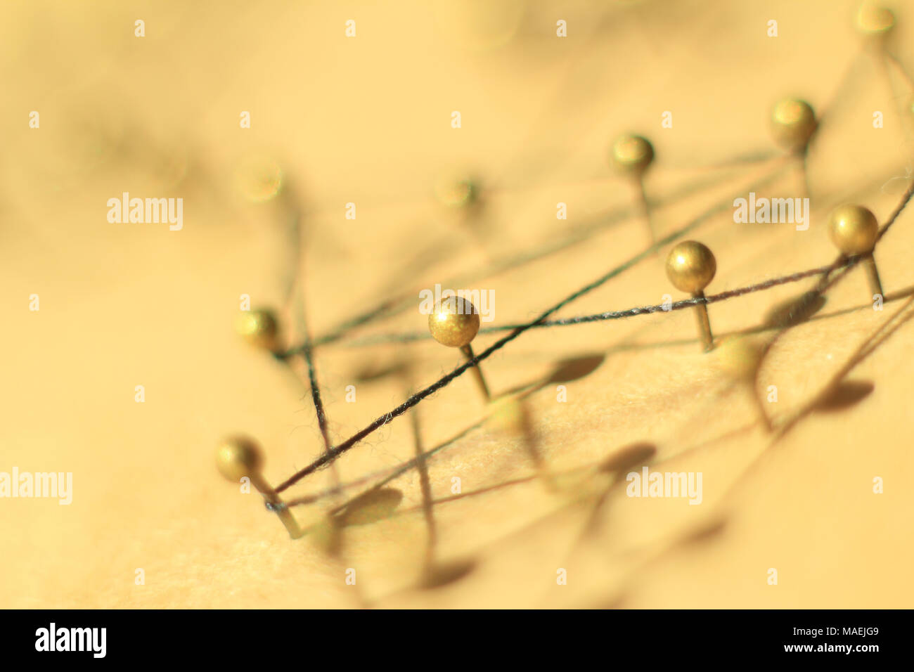 Concetto di una rete sociale con il leader Foto Stock