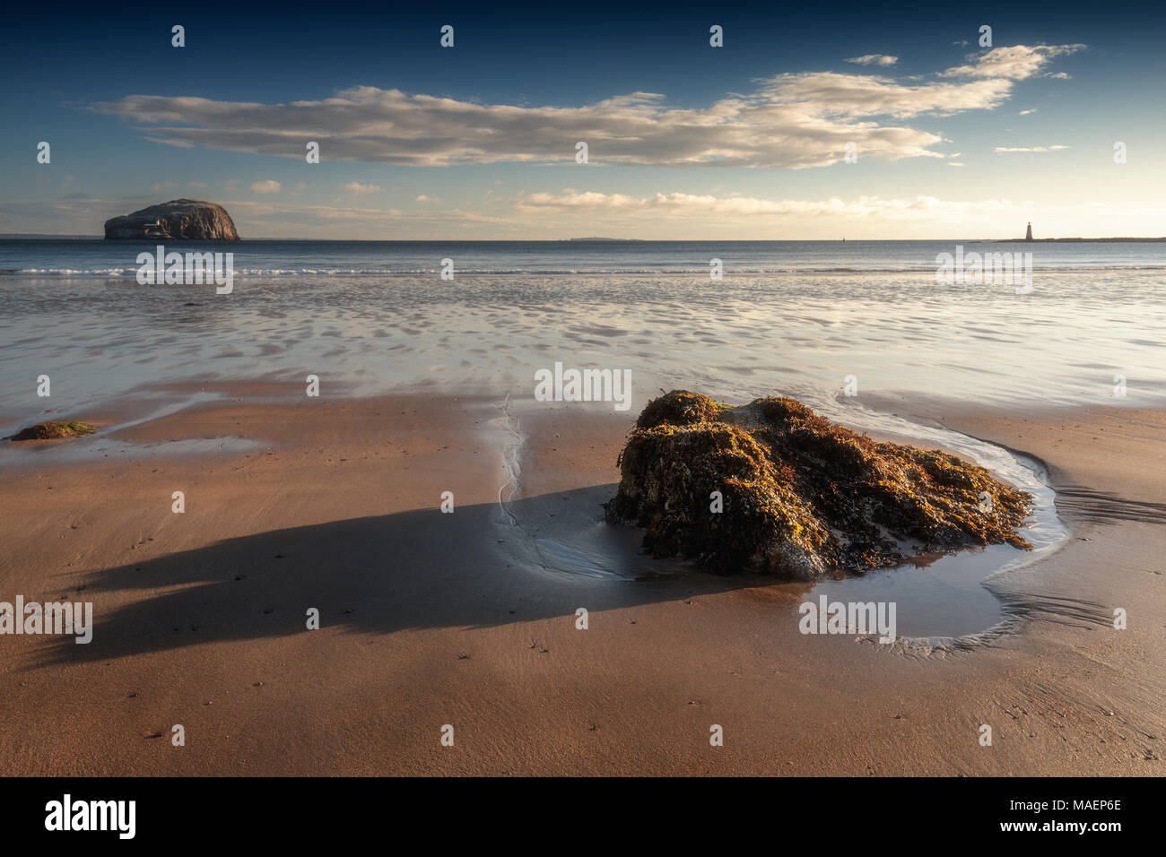 Bass Rock e St Baldred's Cross da Seacliff vicino a North Berwick in East Lothian Costa, Scozia Foto Stock