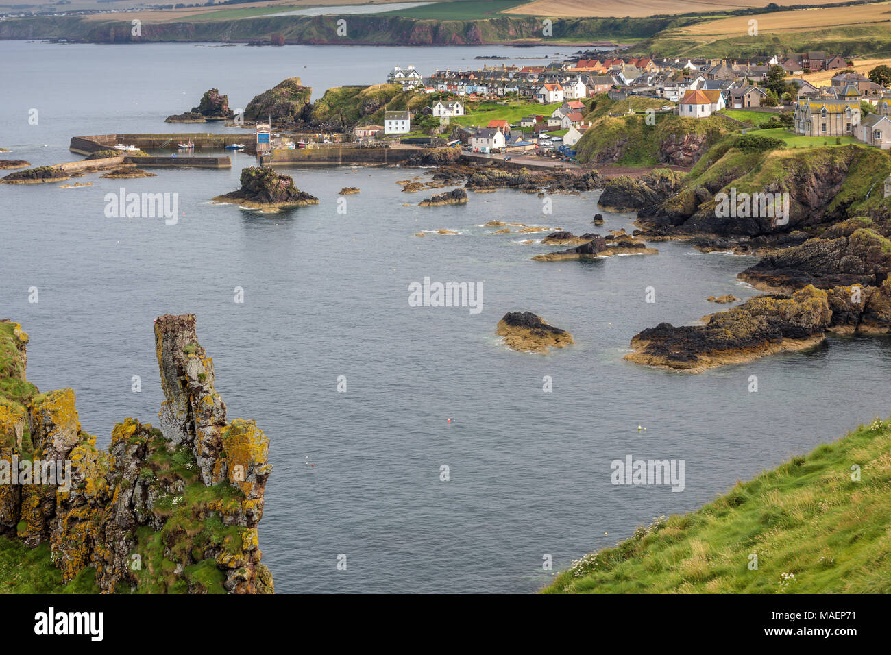 Vista verso St Abbs da St Abb di testa, Berwickshire, Scozia Foto Stock
