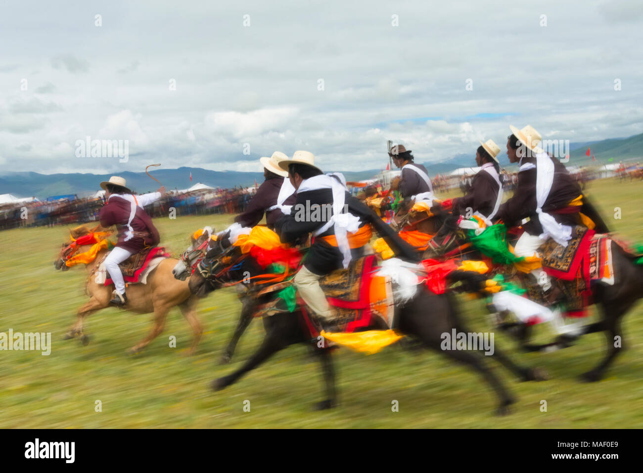 Del popolo tibetano corsa di cavalli in corsa di cavalli Festival, Litang, western Sichuan, Cina Foto Stock