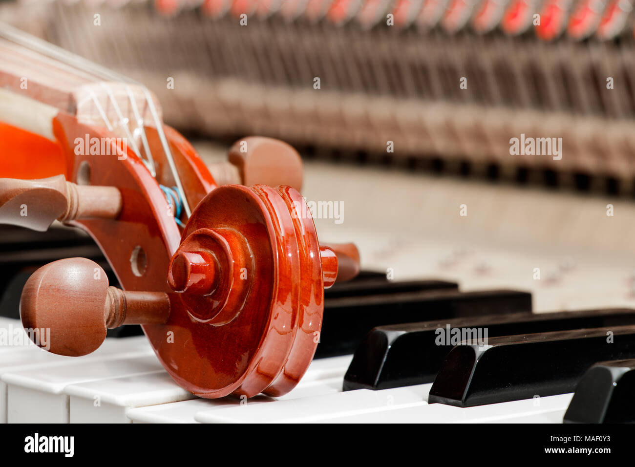 Violino tune chorus testa sui tasti di pianoforte sullo sfondo Foto Stock
