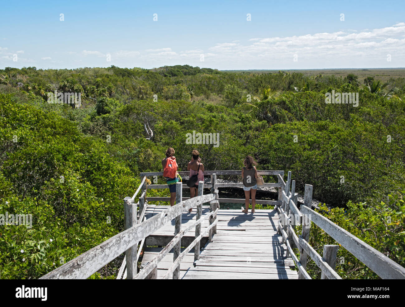 I turisti sul ponte di osservazione oltre il cenote Yalahau, Holbox, Quintana Roo, Messico Foto Stock