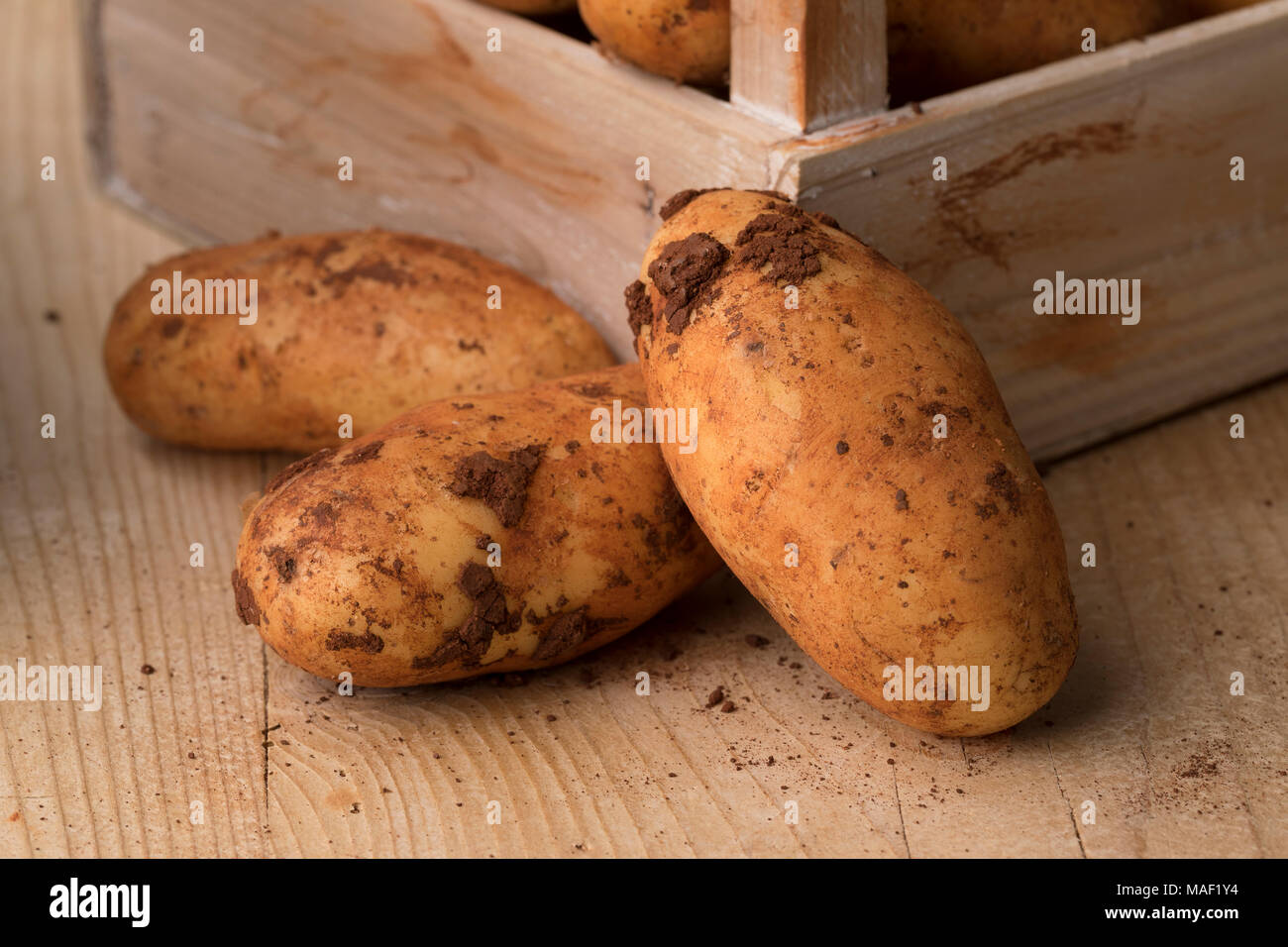 Freschi raccolti crudo intero Diamant di patate provenienti da Cipro Foto Stock