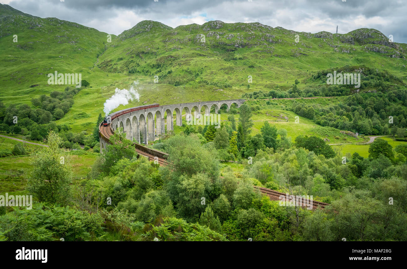 Glenfinnan viadotto ferroviario con il vapore giacobita, Lochaber area delle Highlands della Scozia. Foto Stock