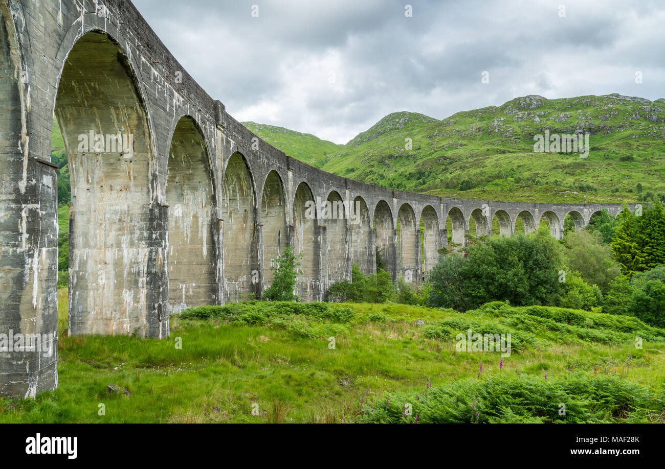 Glenfinnan viadotto ferroviario, Lochaber area delle Highlands della Scozia. Foto Stock