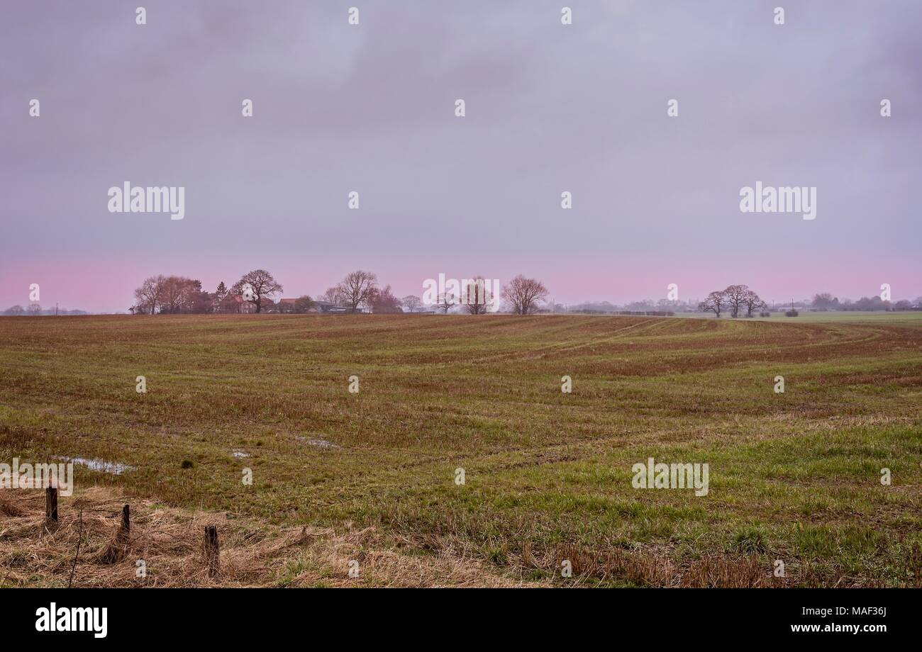 Alba vista di un campo arato con le piante iniziano a germogliare. Edifici agricoli e gli alberi sono all'orizzonte. Foto Stock
