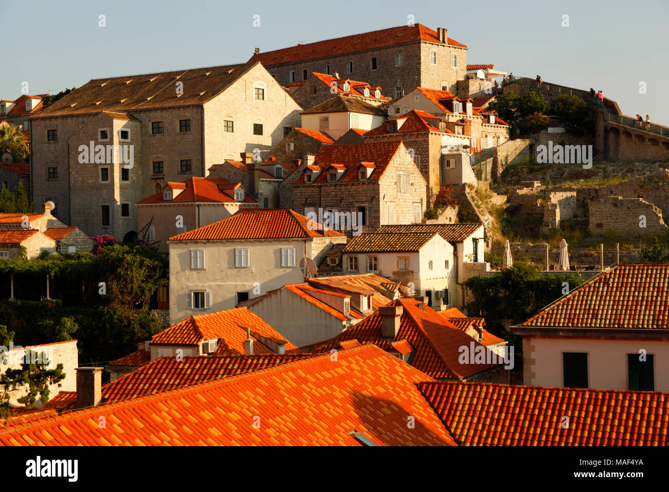 Dubrovnik, Dalmazia, Croazia, Europa Foto Stock