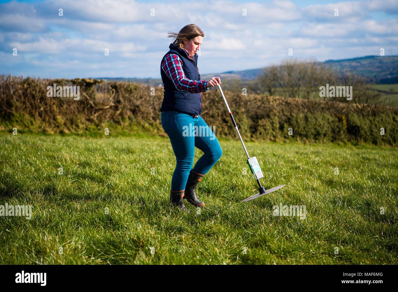 Jamie McCoy , imprenditore, utilizzando una piastra il multimetro per misurare la crescita di erba di pascolo in un campo per la sua azienda agricola nelle zone rurali West Wales UK Foto Stock