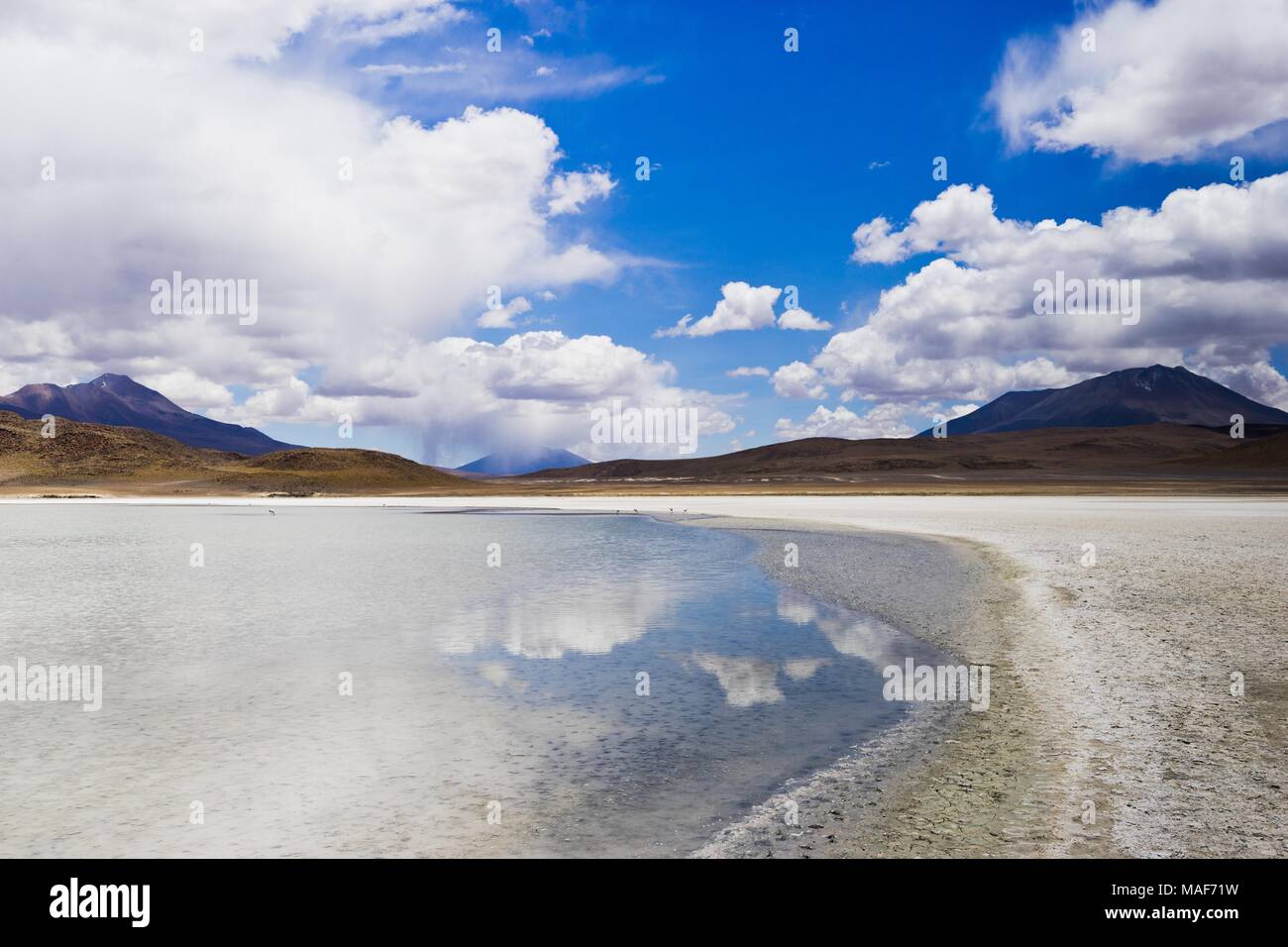 Altiplano Laguna in Bolivia, Southamerica Foto Stock