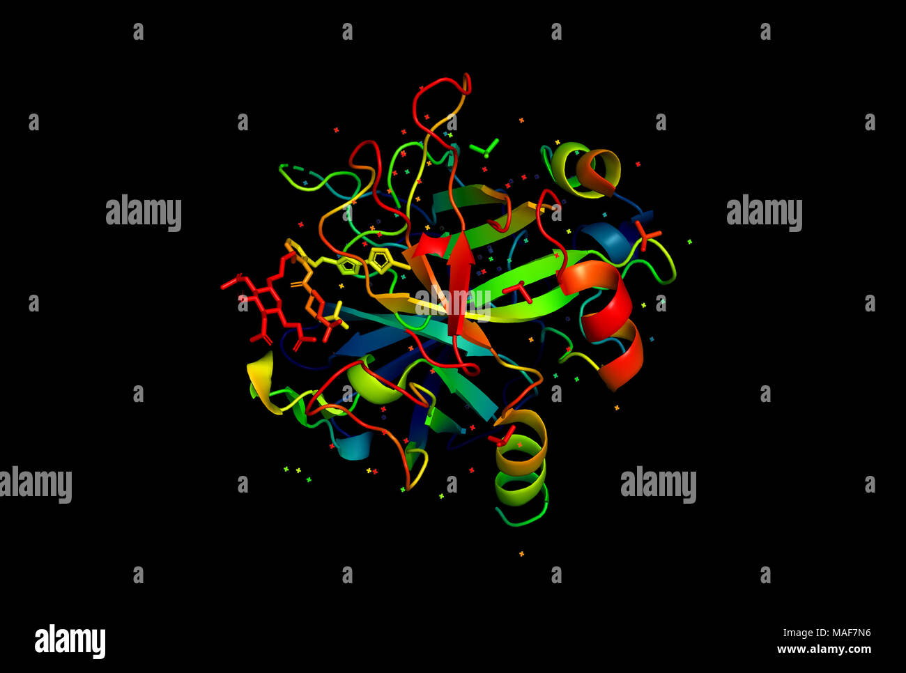 Modello 3D di una molecola di proteina. La spaziale struttura orientata della macromolecola. Foto Stock