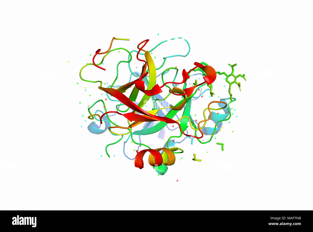 Modello 3D di una molecola di proteina. La spaziale struttura orientata della macromolecola. Foto Stock