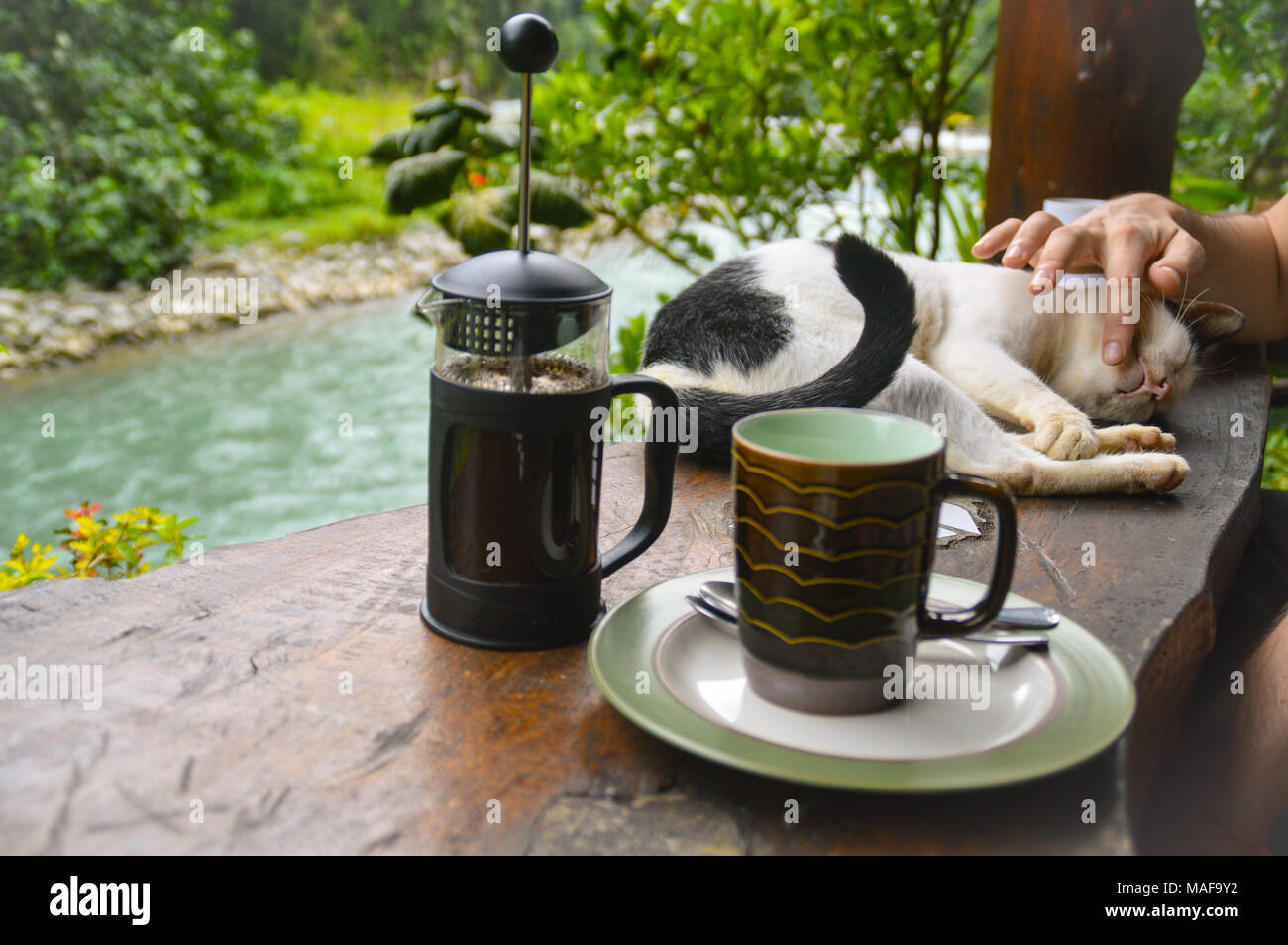 Godendo il caffè di mattina in un balcone rivolto verso un fiume con un pelo di gatto pet Foto Stock