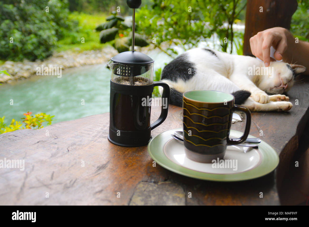 Godendo il caffè di mattina in un balcone rivolto verso un fiume con un pelo di gatto pet Foto Stock