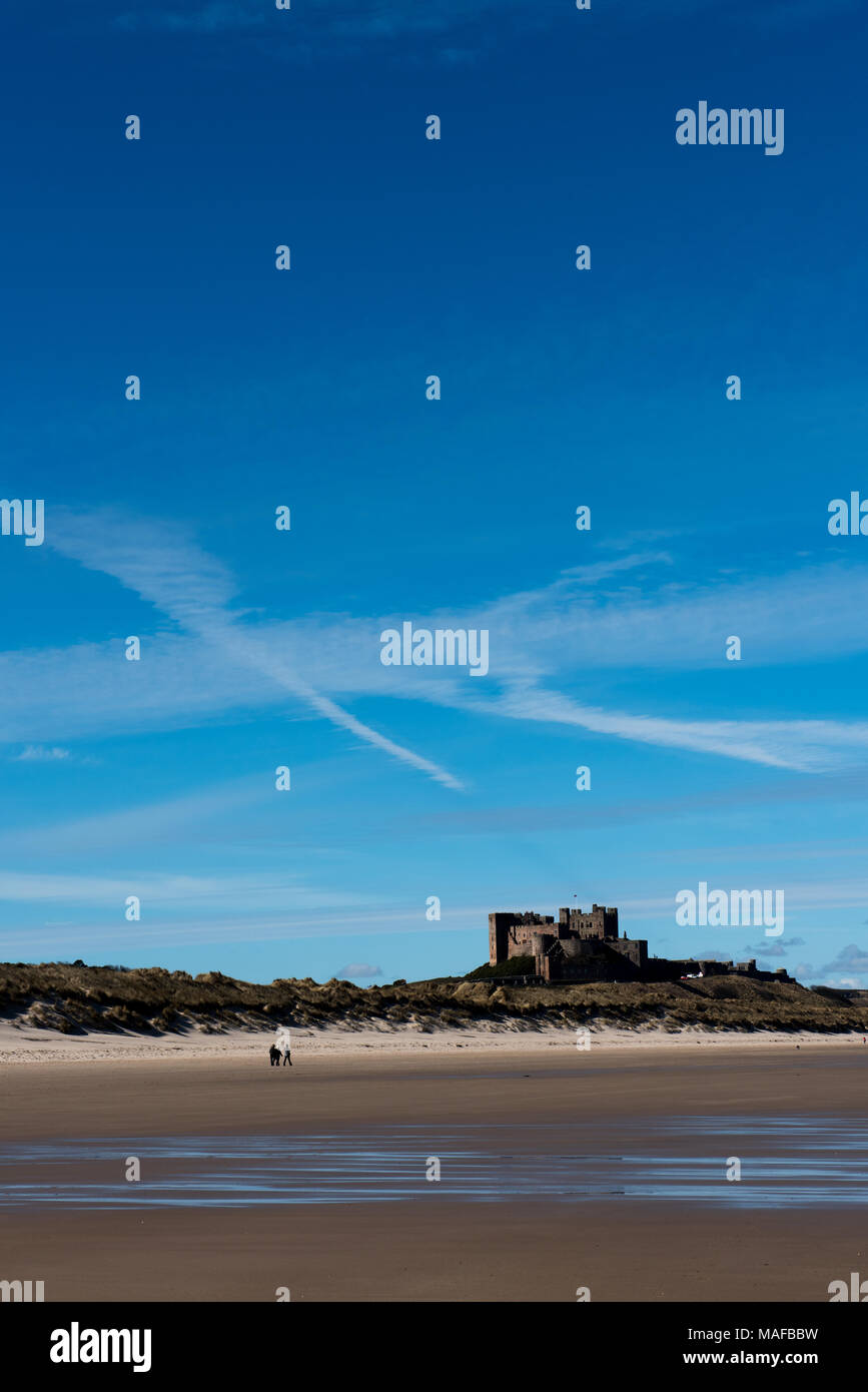Castello di Bamburgh, Northumberland, storica fortezza costiera e punto di riferimento contro un cielo limpido, iconico sito storico dell'Inghilterra settentrionale Foto Stock