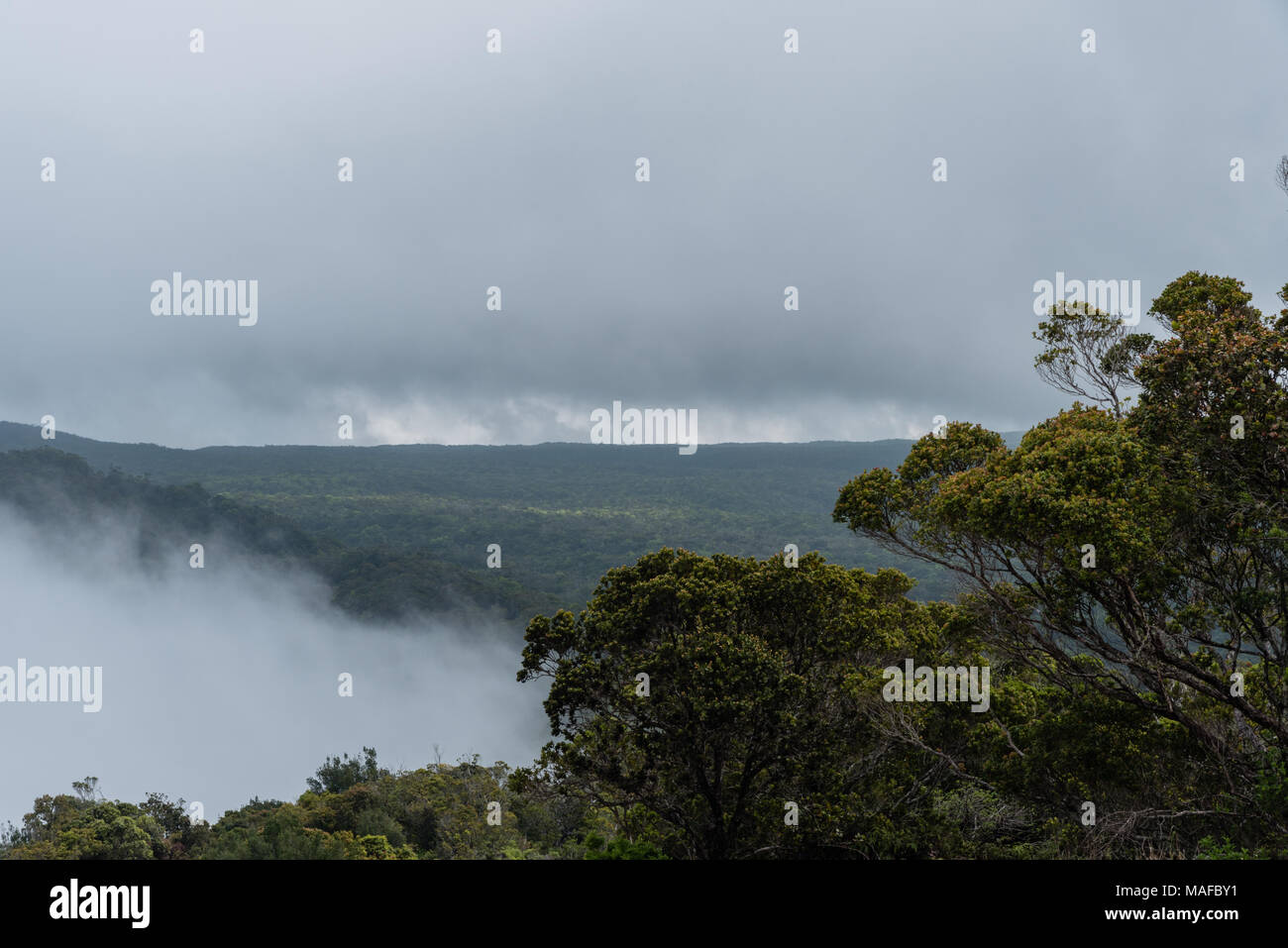 Waialeale - uno dei luoghi più piovosi della Terra, Kauai, Hawaii Foto Stock