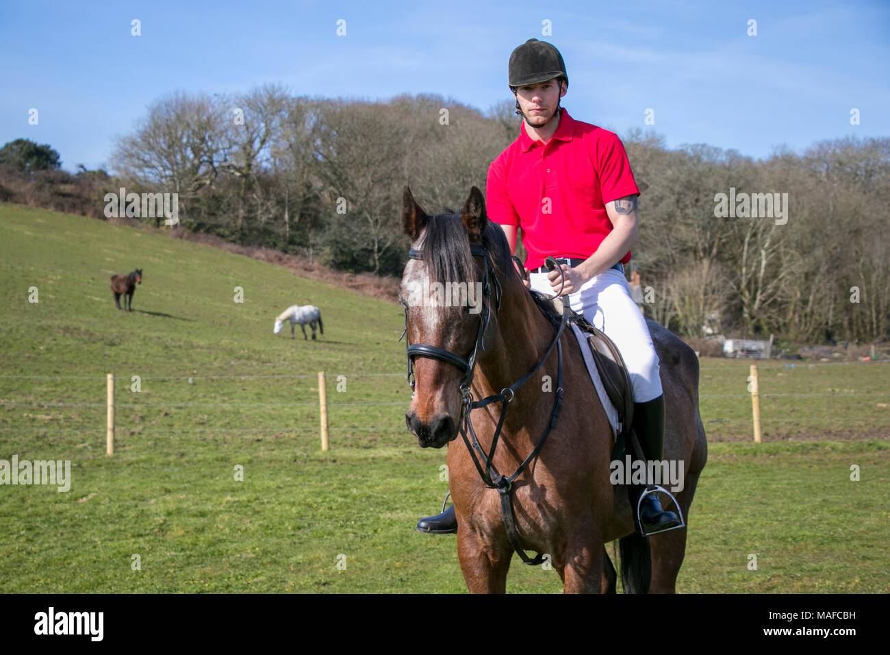 Bel cavallo maschio cavaliere a cavallo in campo verde con i cavalli e  cottage in pietra in background. Indossando il casco nero, stivali pantaloni  bianchi Foto stock - Alamy