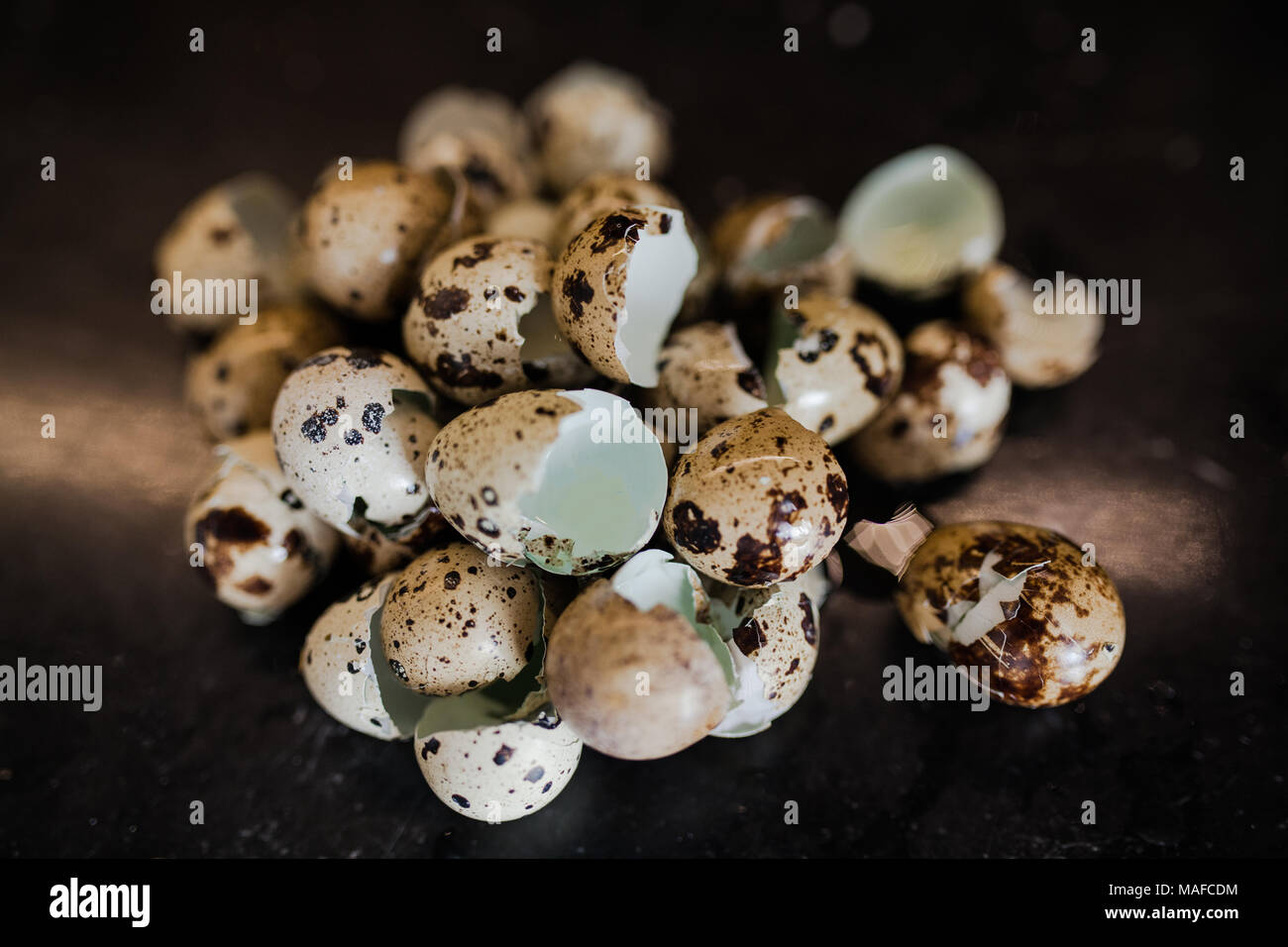 Rotture di uova di quaglia,Dolly shot , extreme close up ,4k Close up shot, far scorrere le attrezzature utilizzate.LR pan, il cursore di sinistra dolly shot, CU Foto Stock