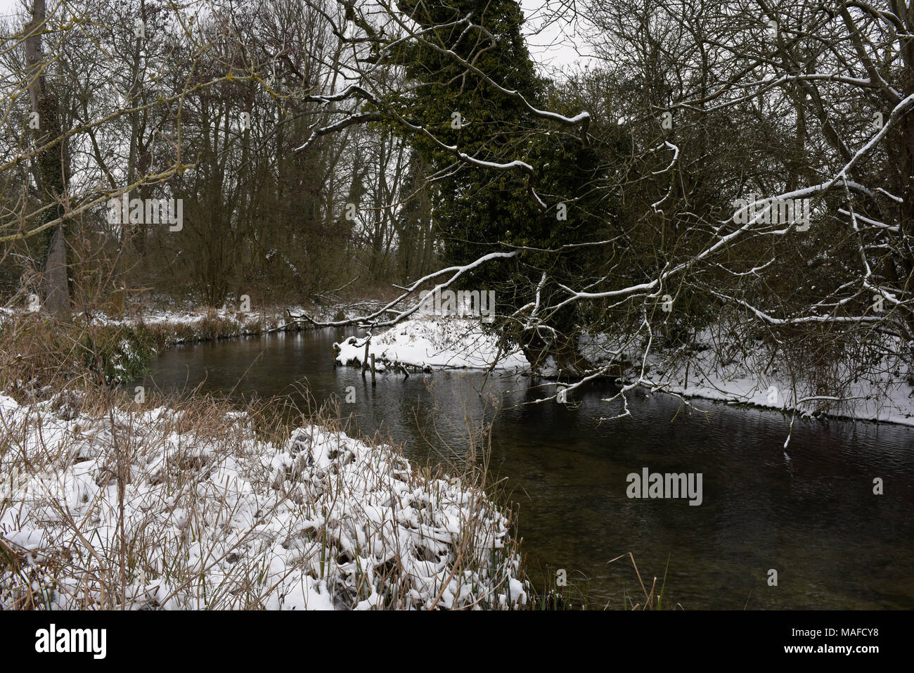 Scene invernale nel mulino Rooksbury natura locale riserva, Andover, Hampshire, Inghilterra Foto Stock