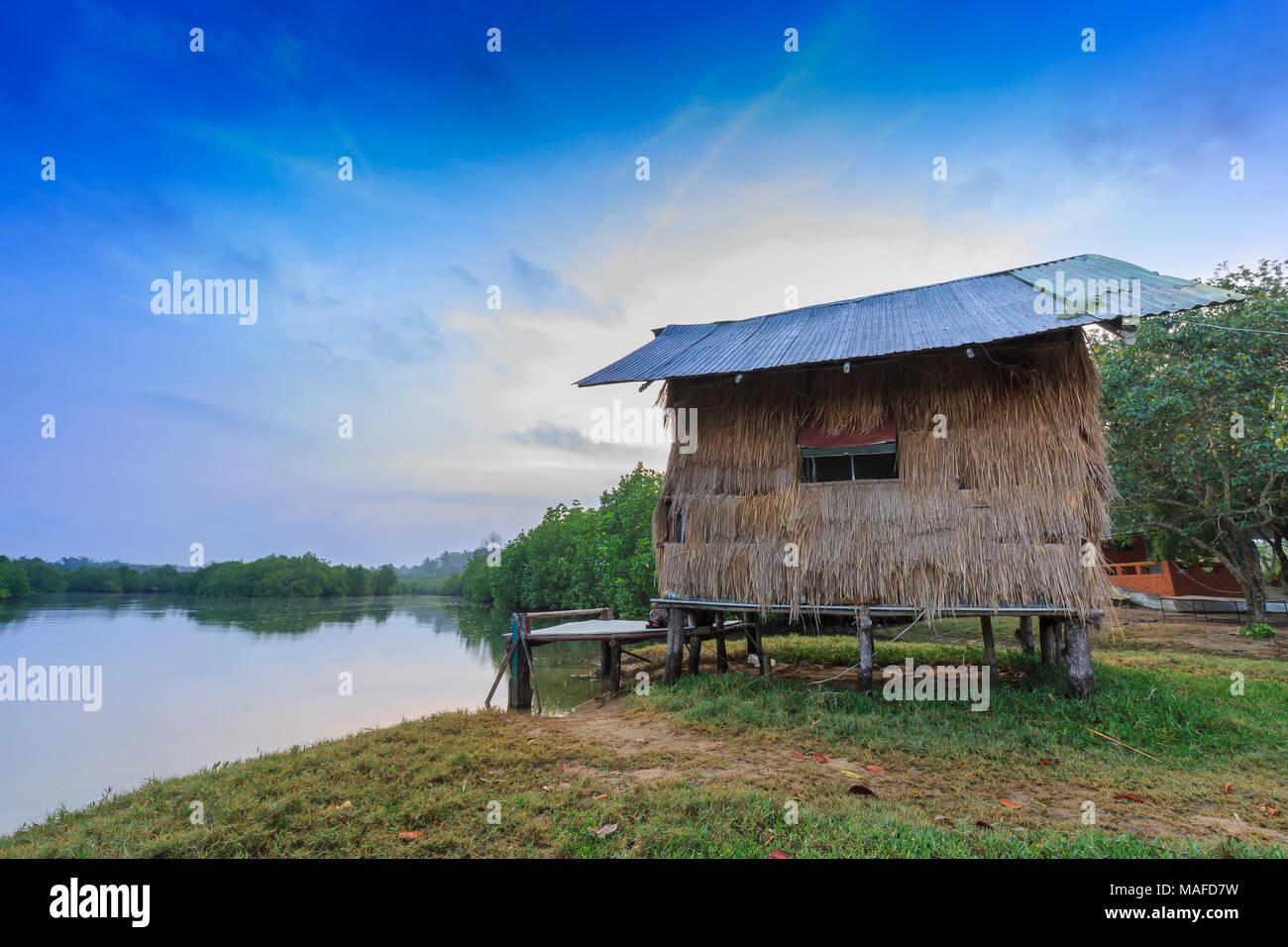 Reed cottage nella foresta di mangrovie Foto Stock