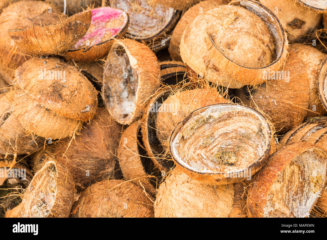 Pila di scartare i gusci di noce di cocco Foto Stock
