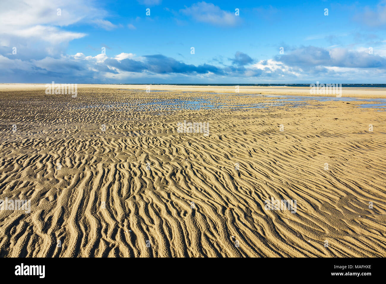 Spiaggia sul mare del nord Isola Amrum, Germania. Foto Stock