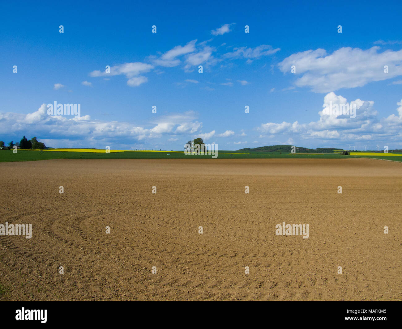 Il tedesco paesaggio di campagna Foto Stock