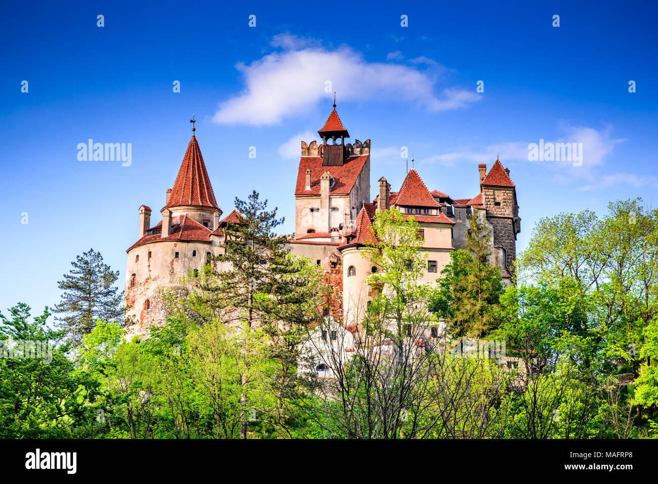 Il Castello di Dracula, crusca, Romania. Molla stupefacente immagine di Vlad l'Impalatore cittadella in Brasov, Transilvania, Europa orientale. Foto Stock