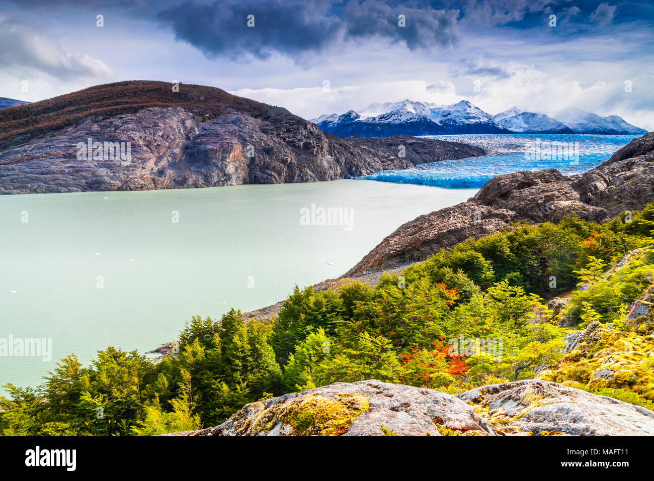 La Patagonia Cilena in Sud America - ghiacciaio Grey in Patagonia meridionale del campo di ghiaccio, la Cordigliera del Paine Foto Stock