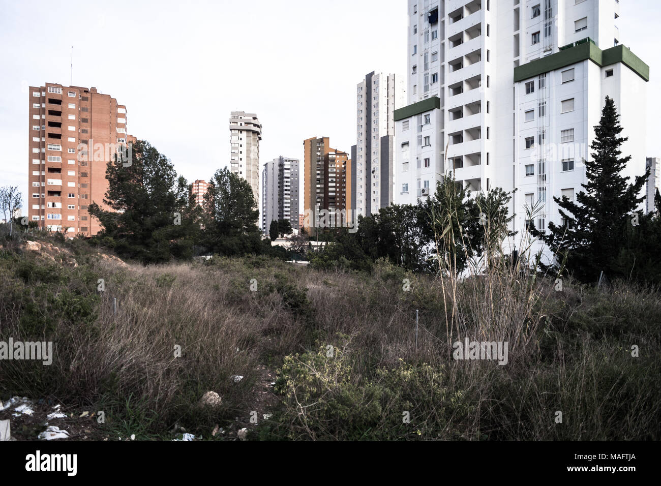 Skyline con grattacieli di Benidorm Foto Stock