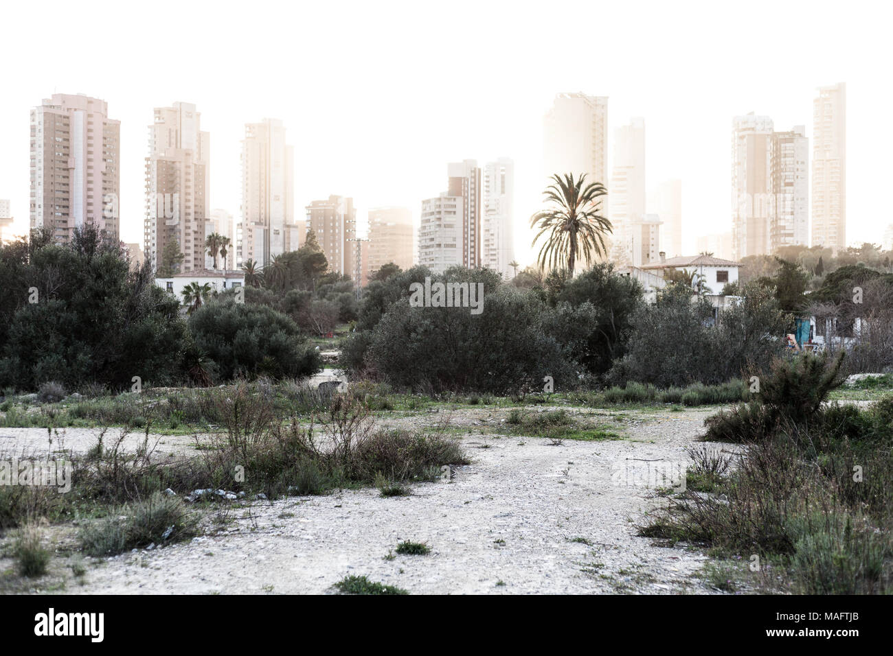 Skyline con grattacieli di Benidorm Foto Stock