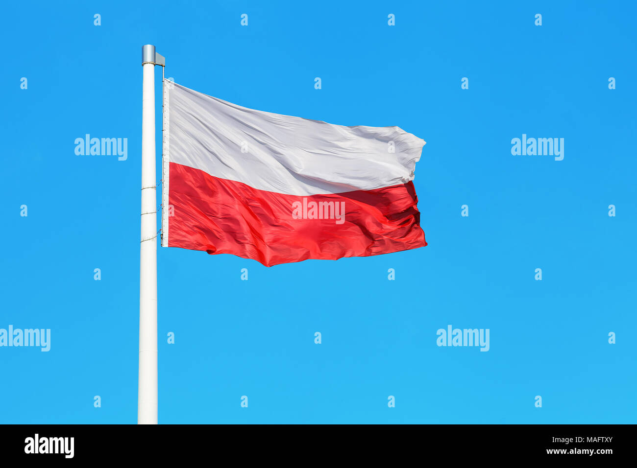 Nazionale Polacca di bandiera sventola sul vento contro il cielo blu chiaro Foto Stock