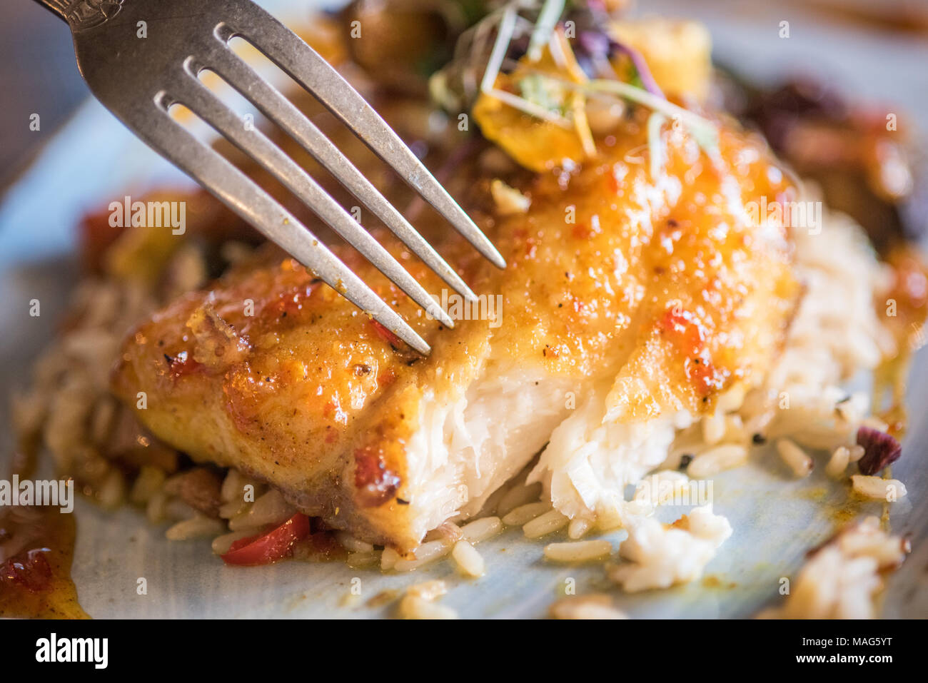 Placcato Gourmet piatto dotato di locali e in modo sostenibile-originato blue catfish, scottato in padella e vetrate con un dolce salsa al curry. Servita con HoppinÕ John e Foto Stock