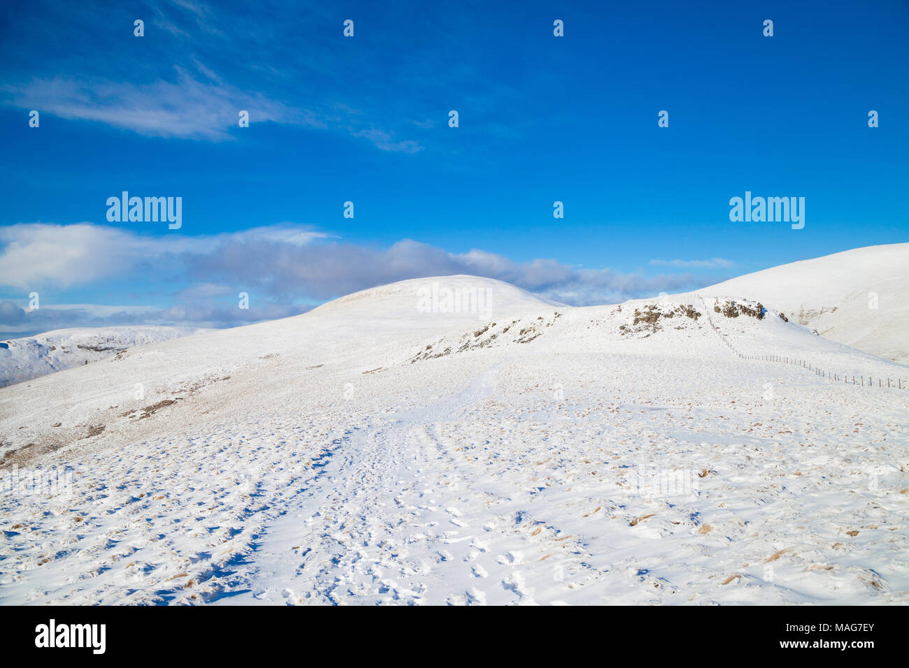 Guardando verso il Ben mai nell'Ochil Hills vicino Tillicoultry Scozia Scotland Foto Stock