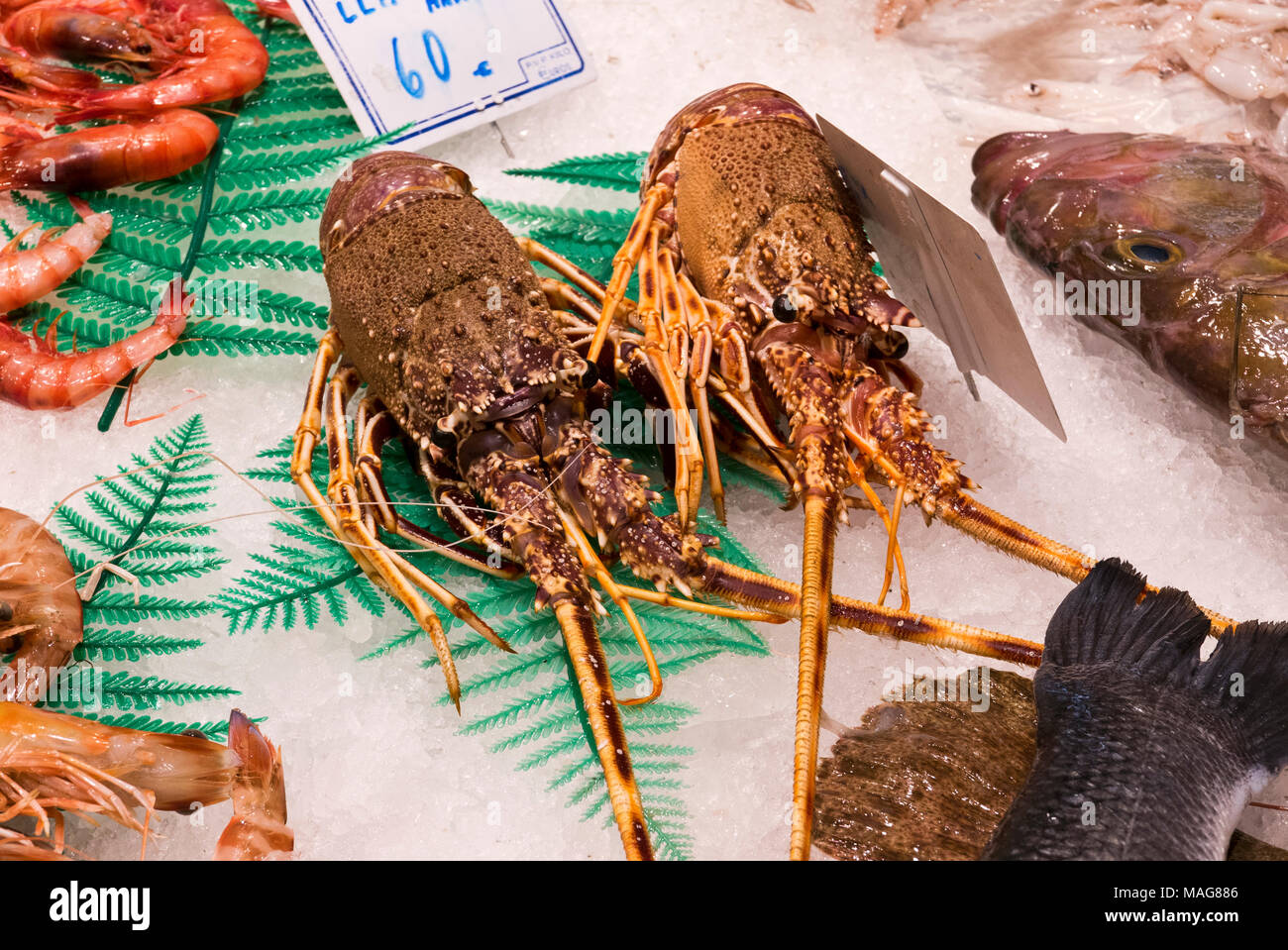 Le aragoste in Vendita in La Boqueria il mercato coperto vicino a La Rambla, Barcelona, Spagna Foto Stock